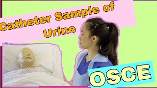 Catheter Sample of Urine CSU OSCE 2021 [upl. by Etessil768]