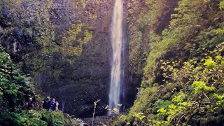 Walking Madeira  quotCaldeirão Verdequot levada walk [upl. by Nevar509]