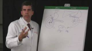 Pathology  Introduction and disease nomenclature [upl. by Llenahc]