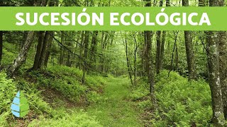 La sucesión ecológica  CAUSAS Y EJEMPLOS [upl. by Enra]