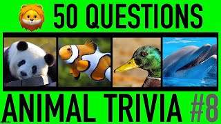 ANIMAL TRIVIA QUIZ 8  50 Animals Knowledge Trivia Questions and Answers  Animal Pub Quiz [upl. by Ecirted121]