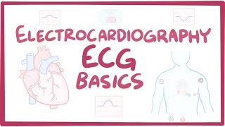 Electrocardiography ECGEKG  basics [upl. by Ennaylime]