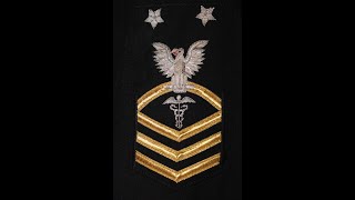 Navy Rating Badges [upl. by Pride791]