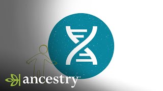 AncestryDNA  Learn more about AncestryDNAs Matches  Ancestry [upl. by Niveb]