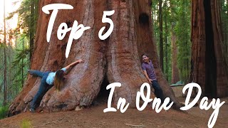 PERFECT Day In Sequoia NP  TOP 5 to do in ONE DAY [upl. by Sirred801]