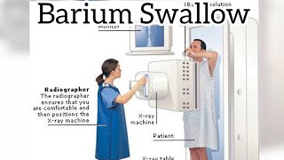 Barium swallow  Radiographer  Radiology information [upl. by Llerreg]