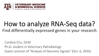 How to analyze RNASeq data Find differentially expressed genes in your research [upl. by Krishna884]