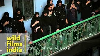 Women mourning at Muharram [upl. by Eraste974]