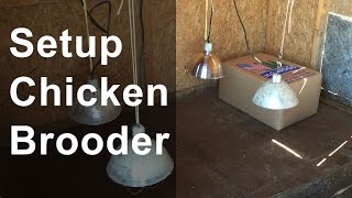 Set Up the Chicken Brooder [upl. by Sandor780]