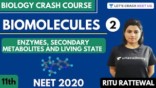 Biomolecules  Enzymes Secondary Metabolites and Living State  Part 2  NEET 2020 [upl. by Kore]