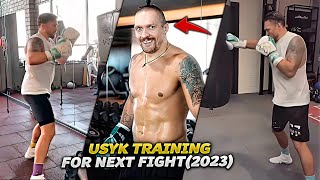 Oleksandr Usyk training for next fight  FULL FIGHT HIGHLIGHTS HD BOXING [upl. by Joslyn]