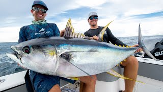 Monster Yellowfin Tuna [upl. by Nnylannej86]