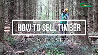 How to sell timber  a harvesting foresters perspective [upl. by Yve]