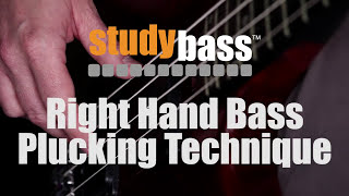 Plucking Right Hand Bass Technique  StudyBass [upl. by Eelyak]