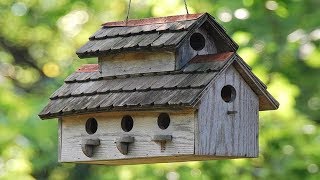 30 Amazing DIY Ideas To Build a BirdHouse [upl. by Enomad]