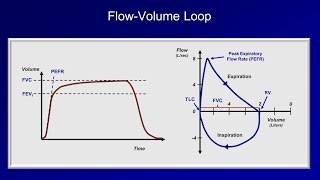 Pulmonary Function Tests PFT Lesson 2  Spirometry [upl. by Ahsyek544]