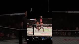 Francis Ngannou KO Alistair Overeem [upl. by Rainwater469]