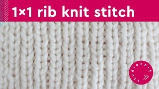 1x1 Rib Stitch Knitting Pattern for Beginners 2 Row Repeat [upl. by Birchard174]