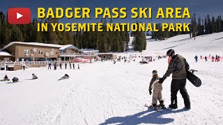 All about Badger Pass Ski Area in Yosemite National Park [upl. by Karli]