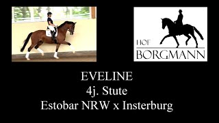 EVELINE  Hof Borgmann  Juni 2022 [upl. by Imogen143]