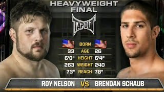 Roy Nelson vs Brendan Schaub TUF Season 10 Finale [upl. by Akemad123]