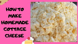 How to make tasty homemade cottage cheese easy recipe [upl. by Haily]