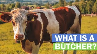 What is a Butcher [upl. by Airetal]