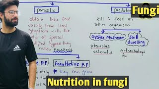 Nutrition in fungi  Saprophytic Parasitic And Predator Fungi  Class 11 Biology [upl. by Linn]