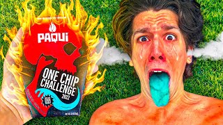 I Did The One Chip Challenge [upl. by Ardnassela886]