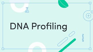 Y1112 Biology DNA Profiling [upl. by Clawson]