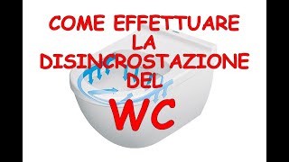 Come effettuare la disincrostazione del WC [upl. by Cirdek]