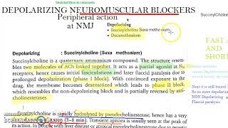 Autonomic vs somatic nervous system  Muscularskeletal system physiology  NCLEXRN  Khan Academy [upl. by Ravens]