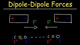 Types of Intermolecular Forces [upl. by Deidre568]