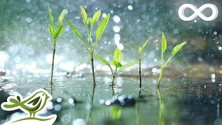 Relaxing Piano Music amp Soft Rain Sounds • Background Sleep Music  Raindrops Extended [upl. by Thaddus698]