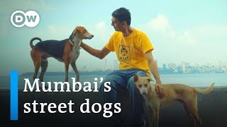 Mumbais street dogs get some lovin  DW Stories [upl. by Presley98]