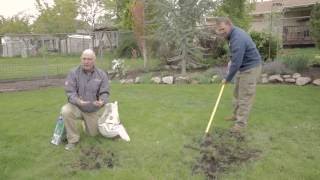 How to Reseed a Lawn [upl. by Bigelow]