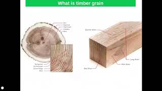 Timbers  Classification Properties and Uses [upl. by Nodyroc166]