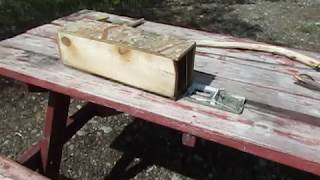 Lethal Squirrel trap  instant kill trap [upl. by Pontone101]