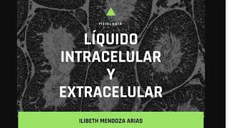 Líquido extracelular e intracelular LEC LIC  Fisiología [upl. by Madalyn]