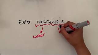 Ester hydrolysis [upl. by Odille479]