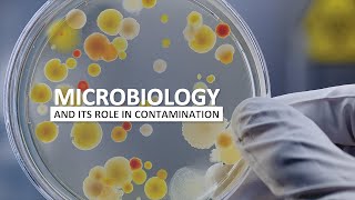 Microbiology and Contamination Control [upl. by Wager520]